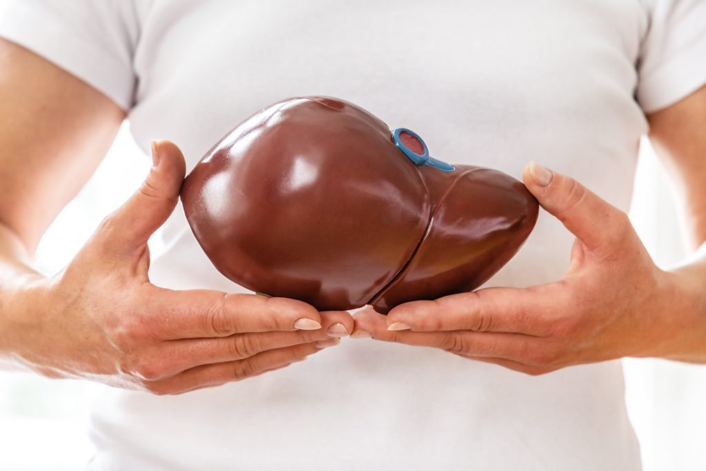 Human holding on to a liver dummy