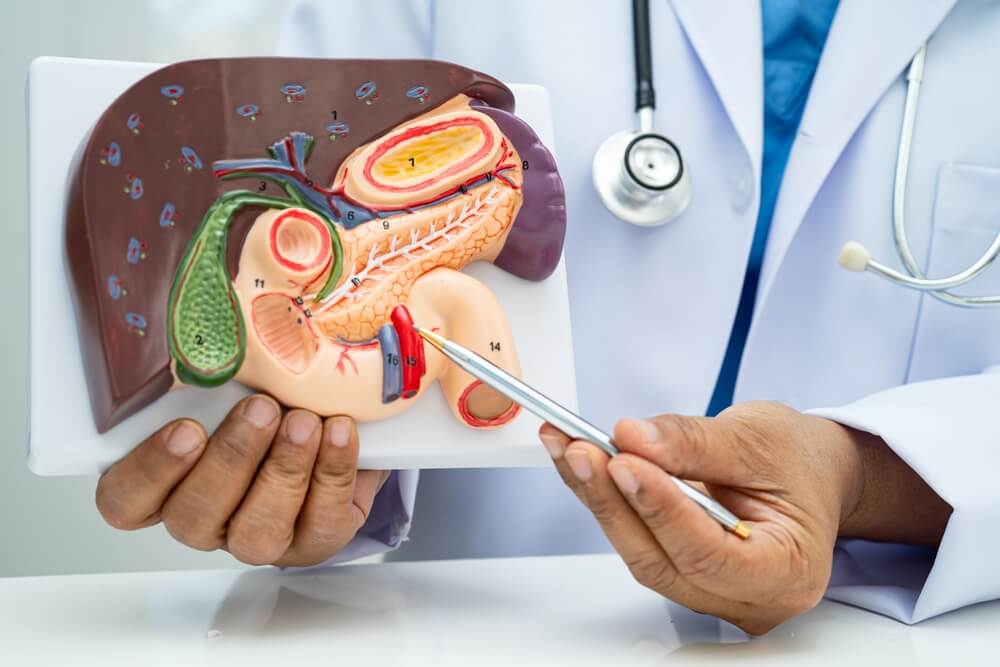 Gallbladder Stones Treated